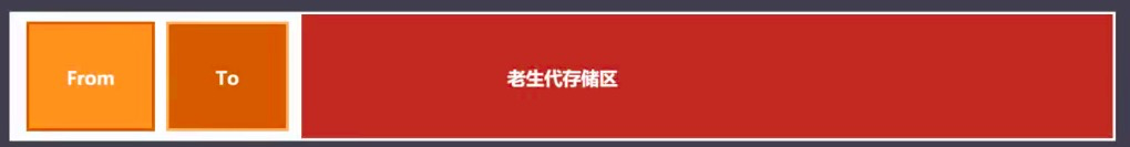 V8内存分配
